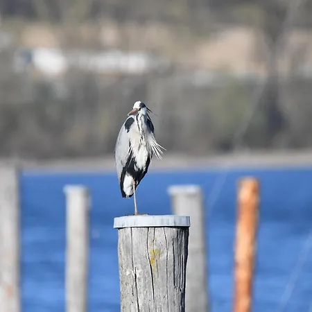 Hotel Kapelle Radolfzell am Bodensee