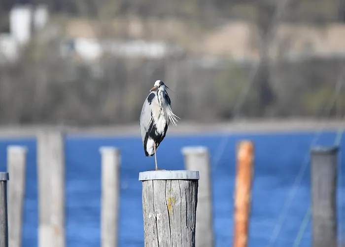 Hotel Kapelle Radolfzell am Bodensee